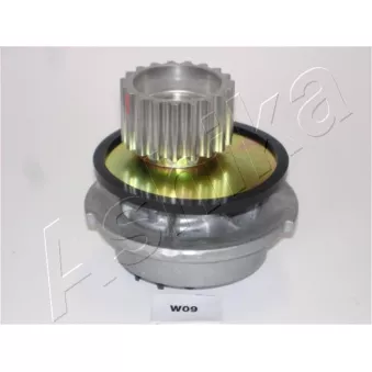 Pompe à eau ASHIKA 35-W0-009