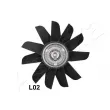 Embrayage, ventilateur de radiateur ASHIKA 36-0L-L02 - Visuel 2