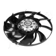 Embrayage, ventilateur de radiateur ASHIKA 36-0L-L07 - Visuel 2