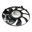 Embrayage, ventilateur de radiateur ASHIKA 36-0L-L09 - Visuel 2