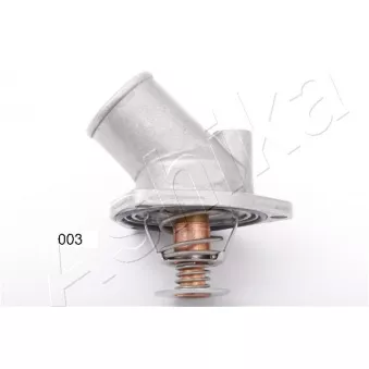 Thermostat d'eau ASHIKA 38-00-003
