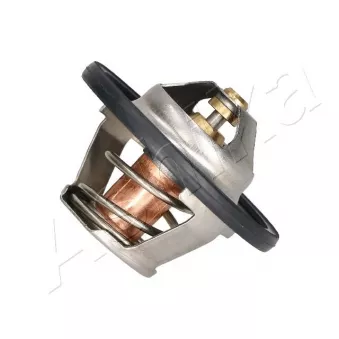 Thermostat, liquide de refroidissement ASHIKA 38-00-0602