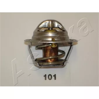 Thermostat d'eau ASHIKA