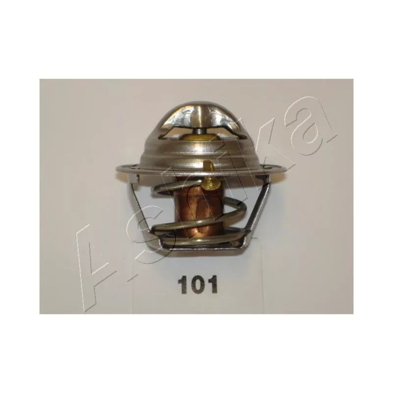 Thermostat d'eau ASHIKA 38-01-101