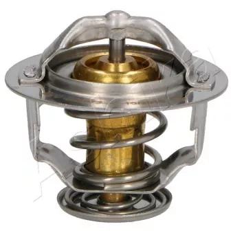 Thermostat d'eau ASHIKA 38-01-102