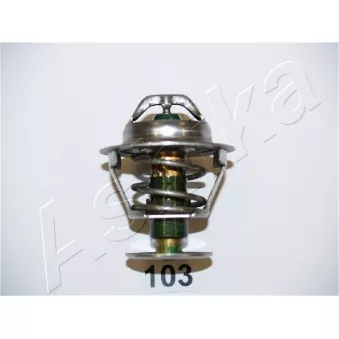 Thermostat d'eau ASHIKA 38-01-103