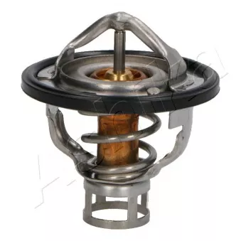 Thermostat d'eau ASHIKA 38-01-104