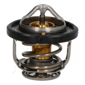 Thermostat d'eau ASHIKA 38-01-107