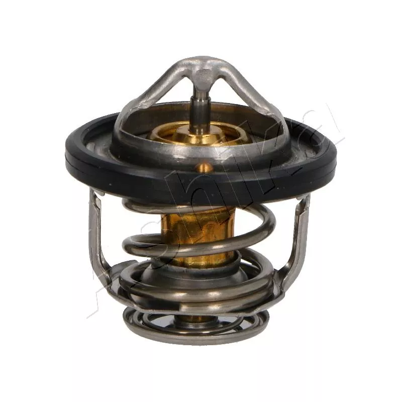 Thermostat d'eau ASHIKA 38-01-107