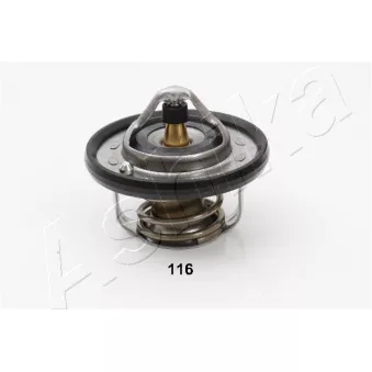Thermostat d'eau ASHIKA 38-01-116