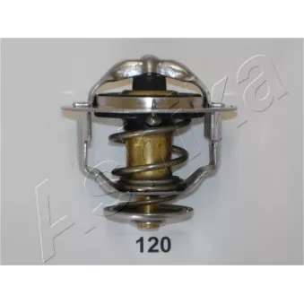 Thermostat d'eau ASHIKA 38-01-120