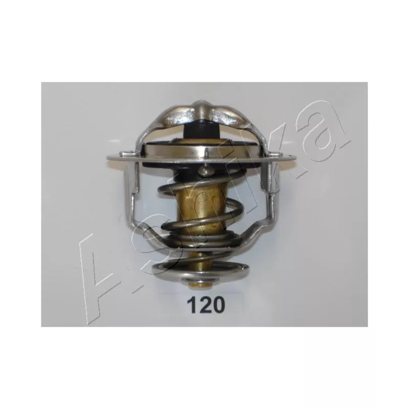 Thermostat d'eau ASHIKA 38-01-120