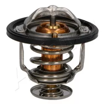 Thermostat d'eau ASHIKA 38-01-123