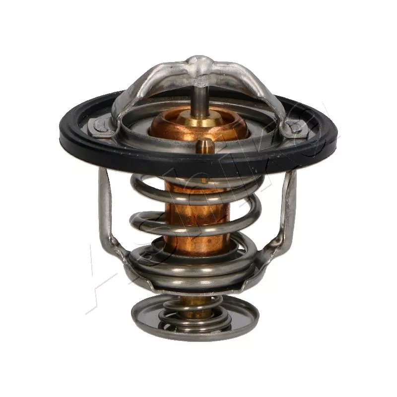 Thermostat d'eau ASHIKA 38-01-123