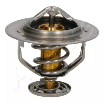 Thermostat d'eau ASHIKA 38-02-206