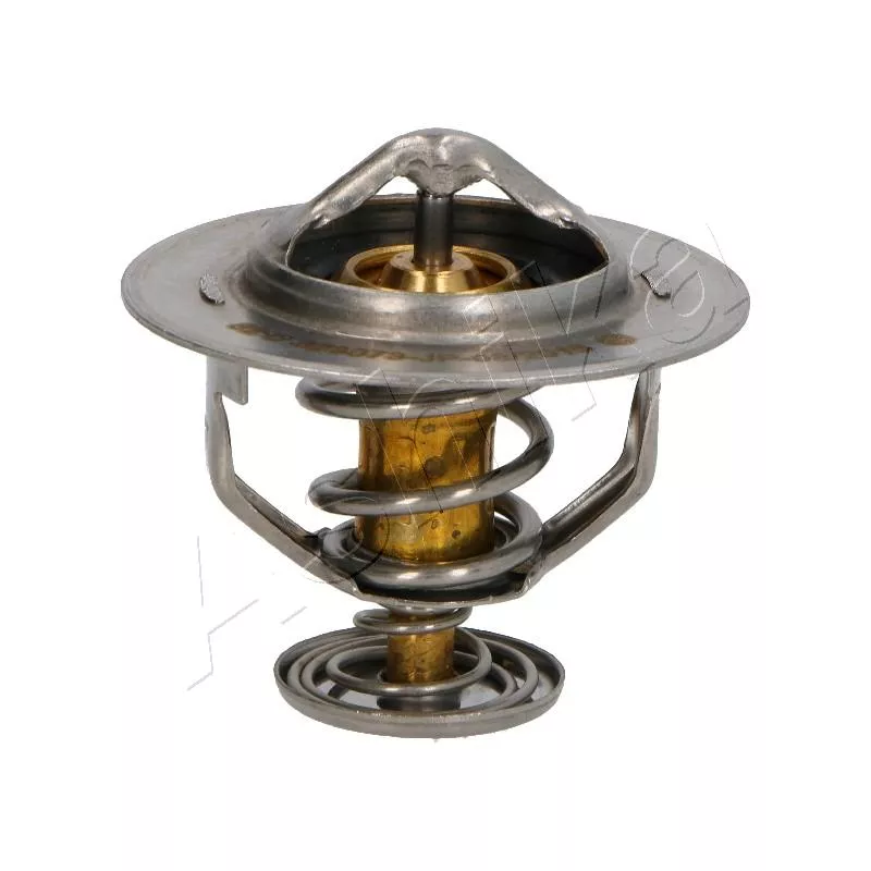 Thermostat d'eau ASHIKA 38-02-206