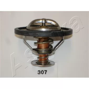 Thermostat d'eau ASHIKA 38-03-307