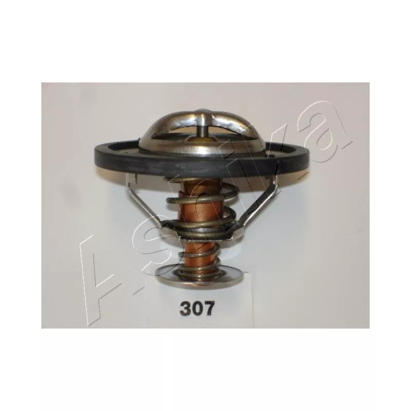 Thermostat d'eau ASHIKA 38-03-307