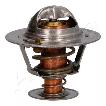 Thermostat d'eau ASHIKA 38-03-309