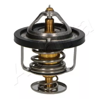 Thermostat d'eau ASHIKA 38-03-315