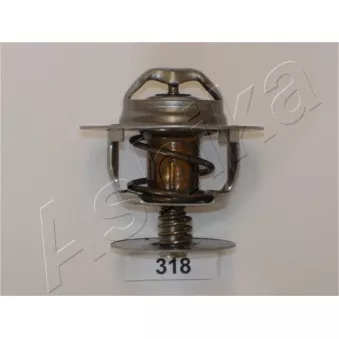 Thermostat d'eau ASHIKA 38-03-318