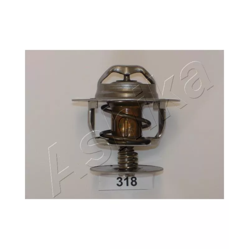 Thermostat d'eau ASHIKA 38-03-318
