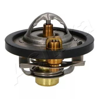 Thermostat d'eau ASHIKA 38-03-397