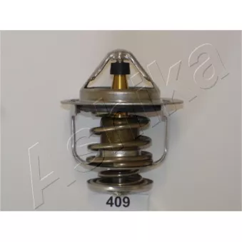 Thermostat d'eau ASHIKA 38-04-409
