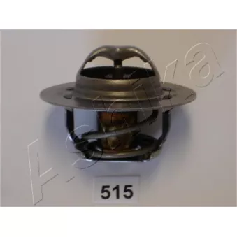 Thermostat d'eau ASHIKA 38-05-515