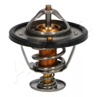 Thermostat d'eau ASHIKA 38-05-517