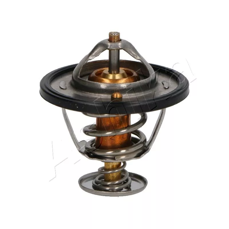 Thermostat d'eau ASHIKA 38-05-517