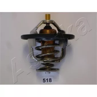 Thermostat d'eau ASHIKA
