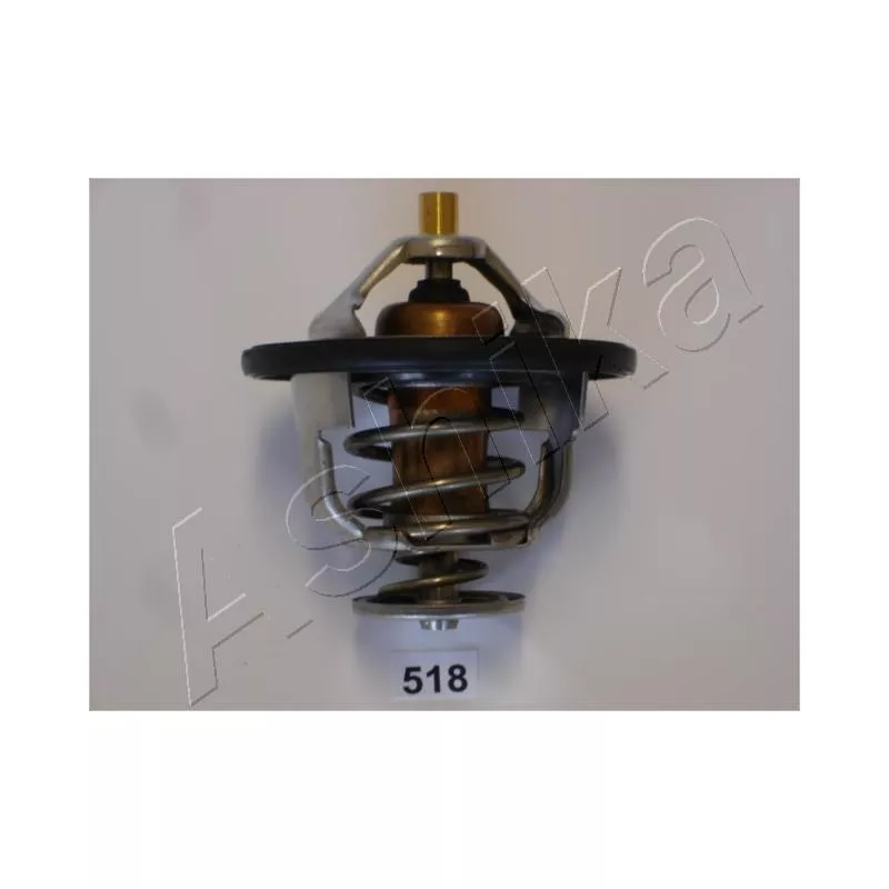 Thermostat d'eau ASHIKA 38-05-518