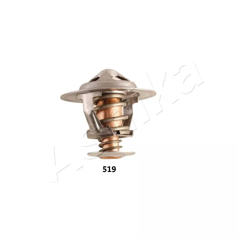 Thermostat d'eau ASHIKA 38-05-519