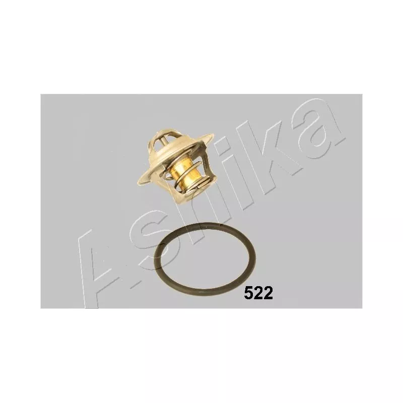 Thermostat d'eau ASHIKA 38-05-522
