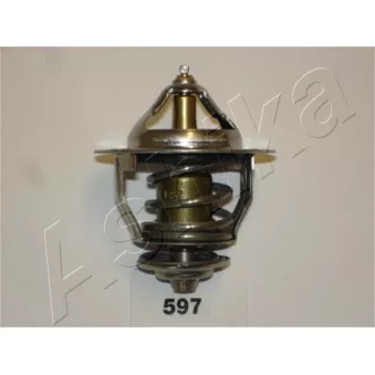 Thermostat d'eau ASHIKA 38-05-597