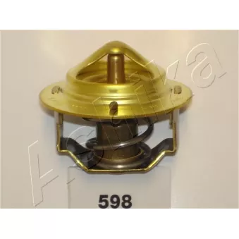 Thermostat d'eau ASHIKA 38-05-598