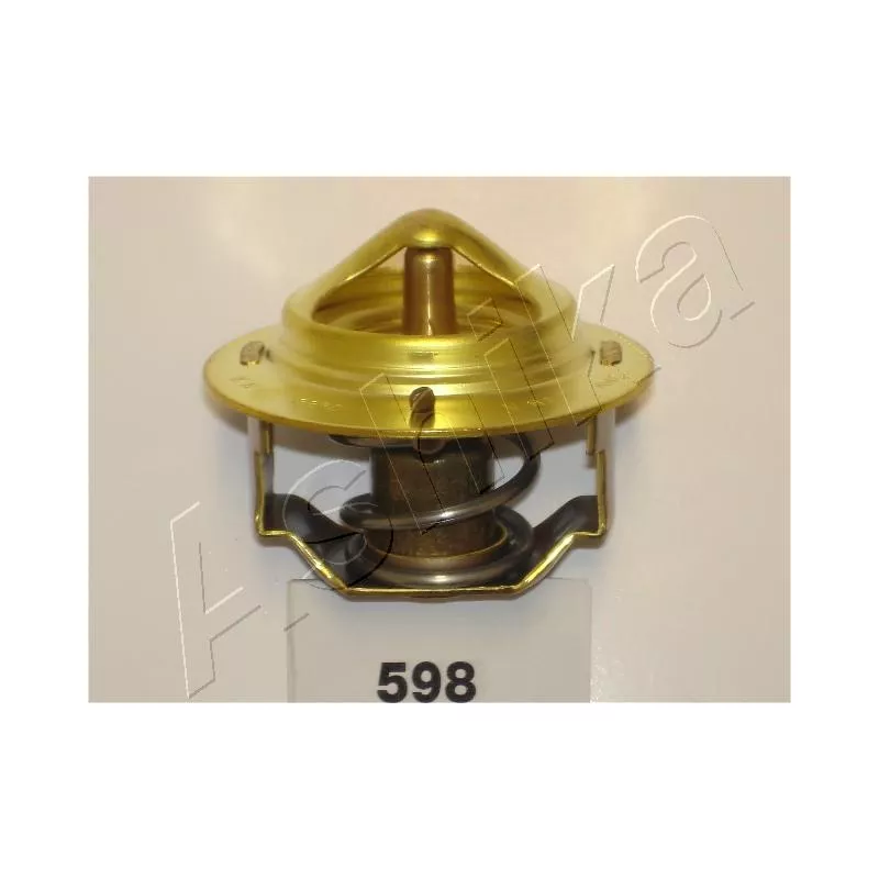 Thermostat d'eau ASHIKA 38-05-598