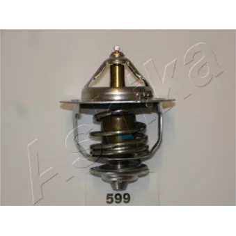 Thermostat d'eau ASHIKA 38-05-599