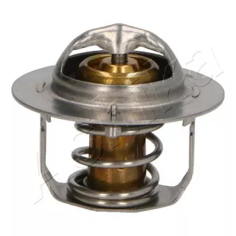 Thermostat d'eau ASHIKA 38-06-600