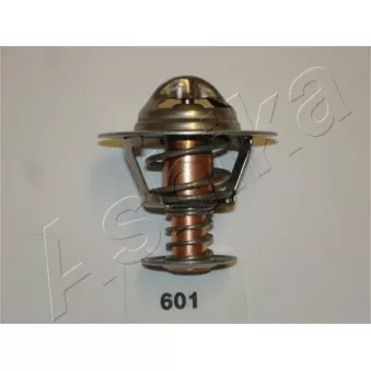 Thermostat d'eau ASHIKA 38-06-601