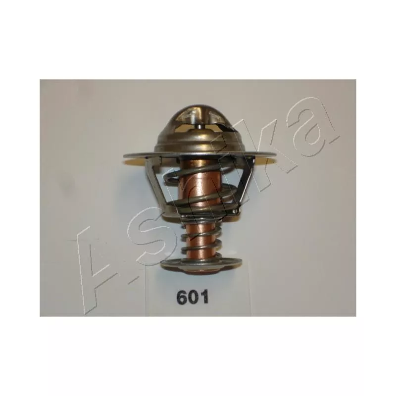 Thermostat d'eau ASHIKA 38-06-601