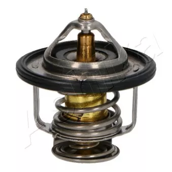 Thermostat d'eau ASHIKA 38-06-606