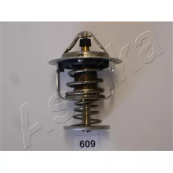 Thermostat d'eau ASHIKA