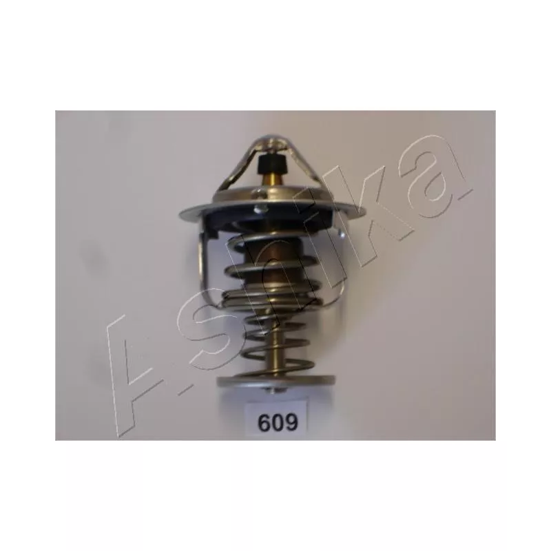 Thermostat d'eau ASHIKA 38-06-609