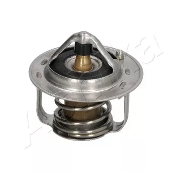 Thermostat d'eau ASHIKA 38-08-801