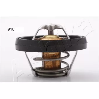 Thermostat d'eau ASHIKA