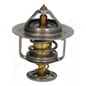 Thermostat d'eau ASHIKA 38-0H-H10