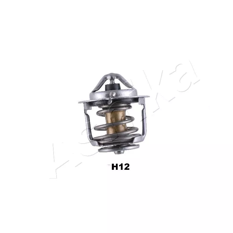 Thermostat d'eau ASHIKA 38-0H-H12