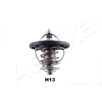 Thermostat d'eau ASHIKA
